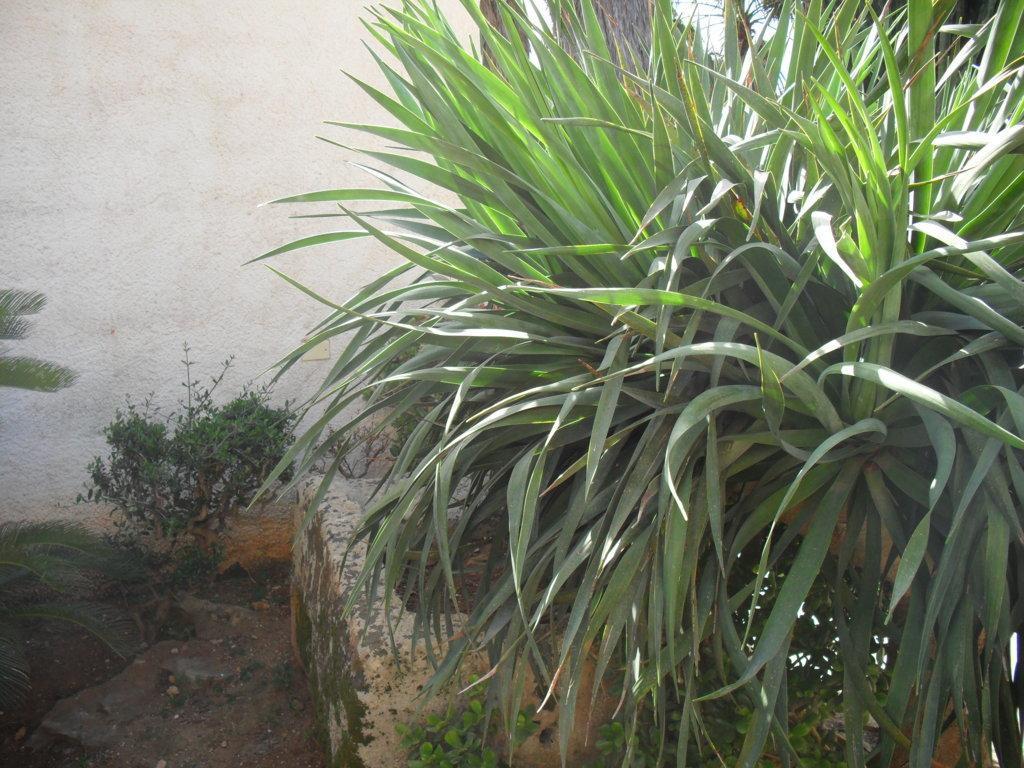 شقة Casa Petros مارسالا المظهر الخارجي الصورة